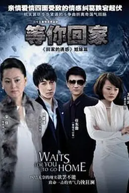 等你回家2013封面图