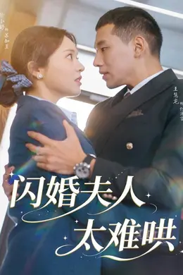 闪婚夫人太难哄封面图