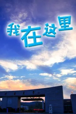 我在这里海报图片