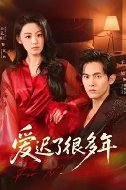 爱迟了很多年封面图
