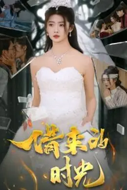 借来的时光海报图片