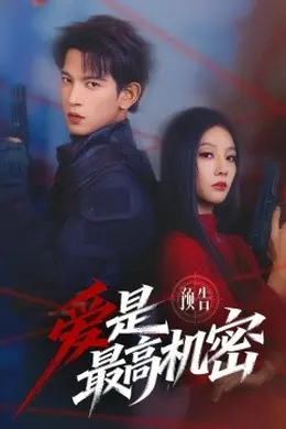 爱是最高机密海报图片