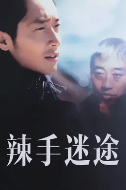 辣手迷途封面图