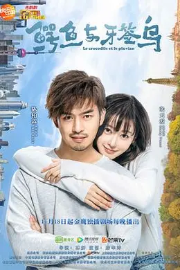 鳄鱼与牙签鸟封面图