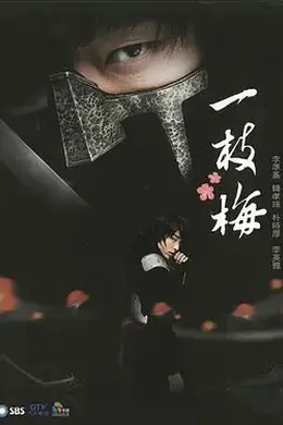 一枝梅2008封面图