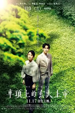 车顶上的玄天上帝封面图