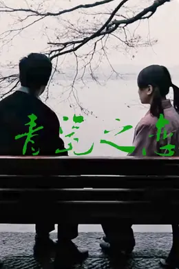 青瓷之恋封面图