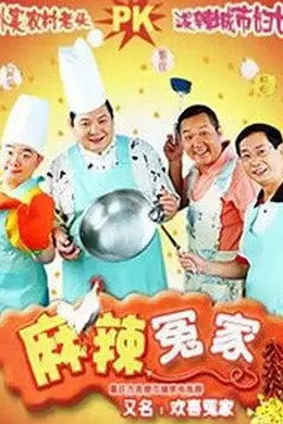麻辣冤家海报图片