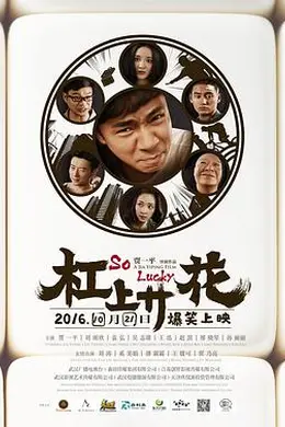 杠上开花封面图