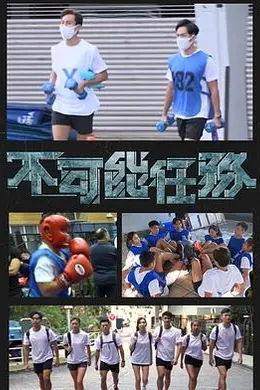 不可能任务封面图