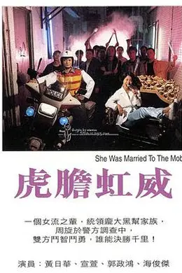 虎胆虹威粤语封面图