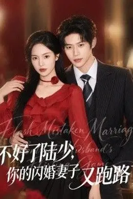 好了陆少，你的闪婚妻子又跑路了封面图