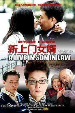 新上门女婿封面图