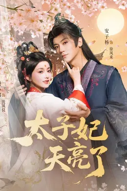太子妃天亮了封面图