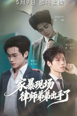 家暴现场律师弟弟出手了海报图片