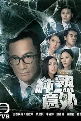 纯熟意外国语封面图