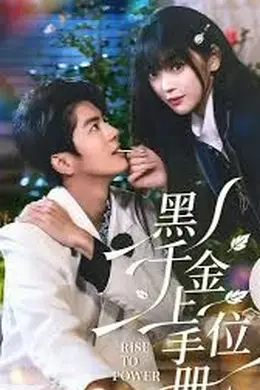 黑千金上位手册海报图片