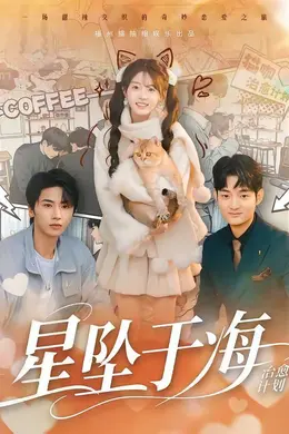 星坠于海封面图