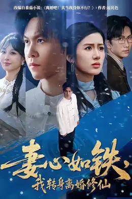 妻心如铁，我转身离婚修仙封面图