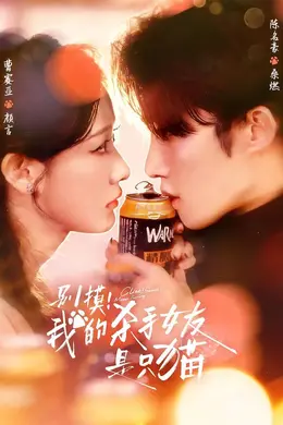 别摸！我的杀手女友是只猫封面图