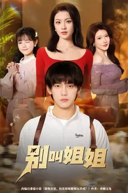 别叫姐姐封面图