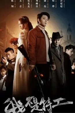 我不是特工封面图