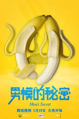男模的秘密封面图