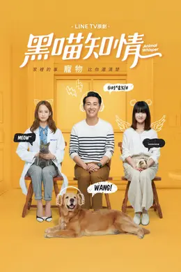 黑喵知情封面图
