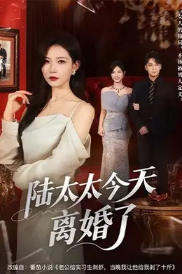 陆太太今天离婚了封面图