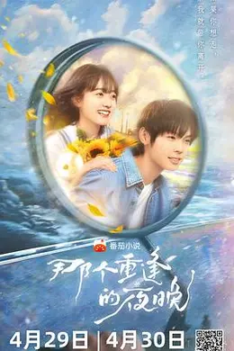 那个重逢的夜晚封面图