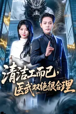 清洁工而已，医武双绝很合理封面图