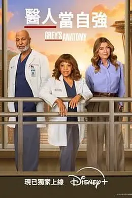 实习医生格蕾 第二十二季海报图片