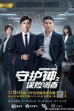 守护神之保险调查国语封面图