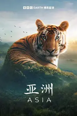 亚洲海报图片