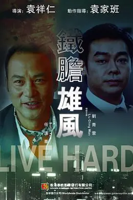 铁胆雄风(原声版)封面图