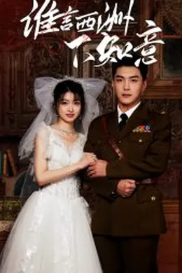 谁言西洲不知意海报图片