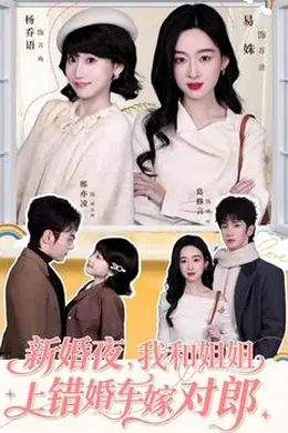 新婚夜，我和姐姐上错婚车嫁对郎海报图片