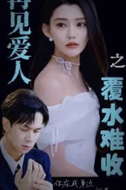 再见爱人之覆水难收海报图片