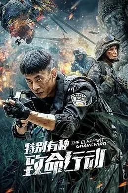 特别有种：致命行动封面图