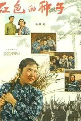 红色的种子封面图