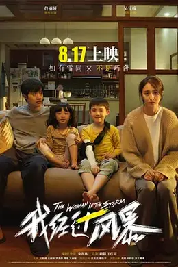 我经过风暴封面图