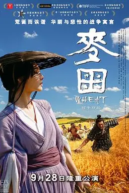 麦田封面图