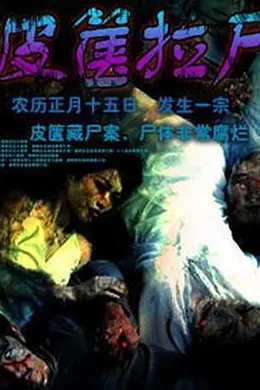 皮箧拉尸封面图