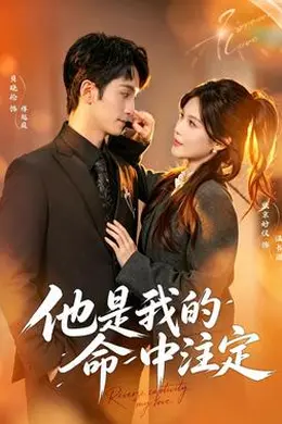 他是我的命中注定海报图片