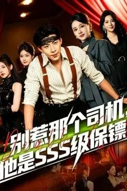 别惹那个司机，他是SSS级保镖海报图片