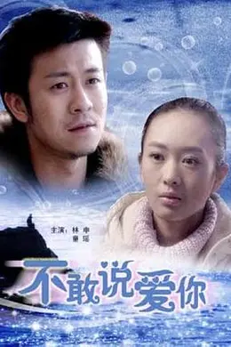 不敢说爱你封面图