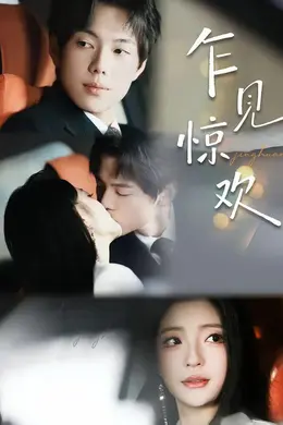 乍见惊欢海报图片