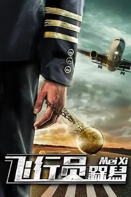 飞行员呆呆鸟封面图