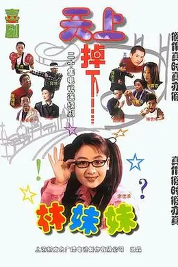 天上掉下个林妹妹封面图