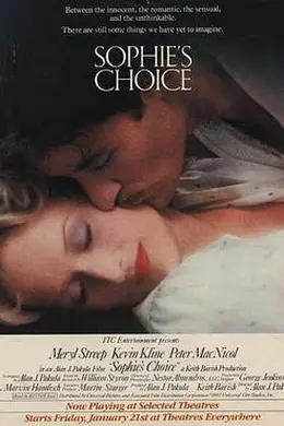 苏菲的抉择封面图